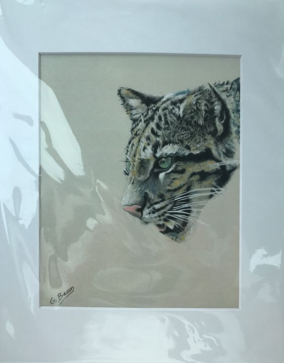 Hungry Clouded Leopard - George Bason Art