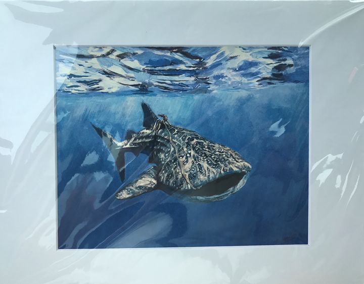 Riding Whale Shark - George Bason Art