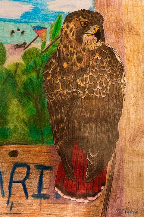 Red Tailed Hawk - Tygerwolfe Designs