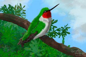 Hummingbird Quote - Cyrus's art - Digital Art, Animals, Birds