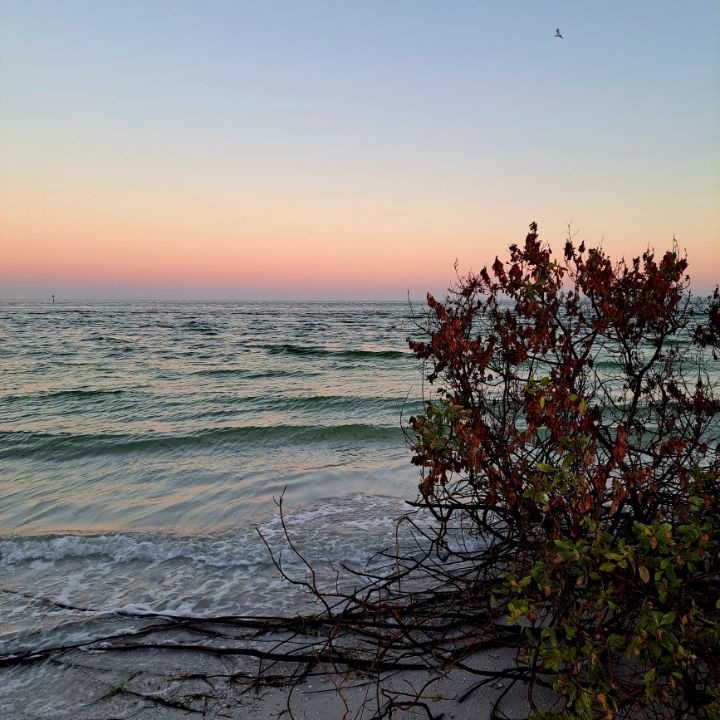 Shell Key Beach Sunrise - Dotted Line Art - Photography, Landscapes ...