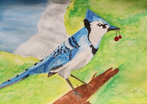 Soaring Blue Jay - Teresa Wing - Paintings & Prints, Animals, Birds, &  Fish, Birds, Bluejays - ArtPal