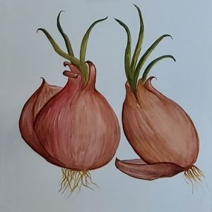 Onions Painting