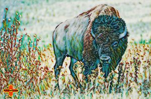 Blue Buffalo Plains by KC Krimsin