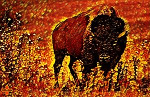 Burning Buffalo Plains by KC Krimsin