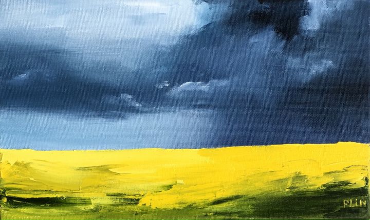 Thunderstorm in the field - Polina Vik