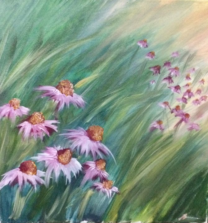 in the field of echinaceea - Laura Stanca