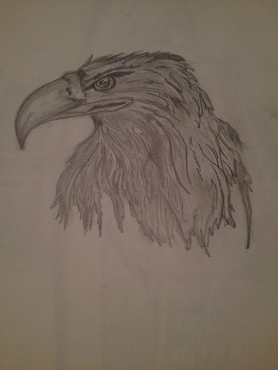 Eagle - Ethan - Drawings & Illustration, Animals, Birds, & Fish, Birds ...