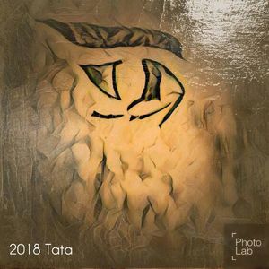 Opening - Tata Kimfa