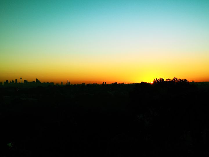 Sydney Skyline - Treehead Collective