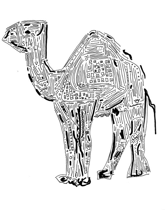 Amazin' Camel // Solvable Maze - The Artist MSG