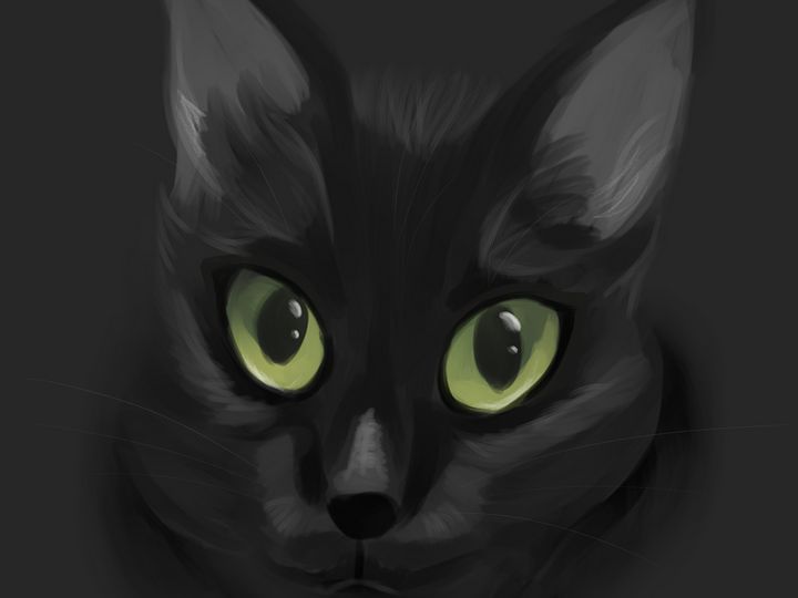 Black Cat - In_Sketched