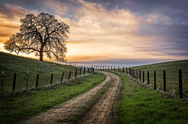 Around The Bend Rob Steele Photography Photography Landscapes Nature Paths Trails Artpal