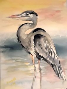 Gray Heron