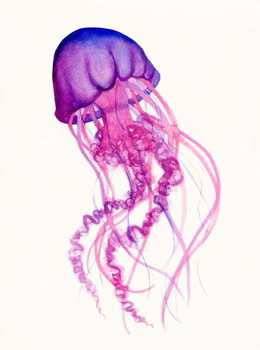 Jellyfish in Pink and Purple - Deborah League Fine Art