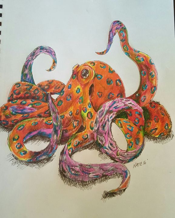 Octopus - Peculiar art by Nate