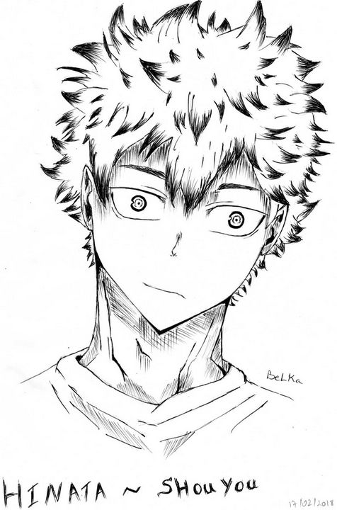 Hinata Shouyou Haikyuu !! Anime Series Hd Matte Finish Poster Paper Print -  Animation & Cartoons posters in India - Buy art, film, design, movie,  music, nature and educational paintings/wallpapers at Flipkart.com