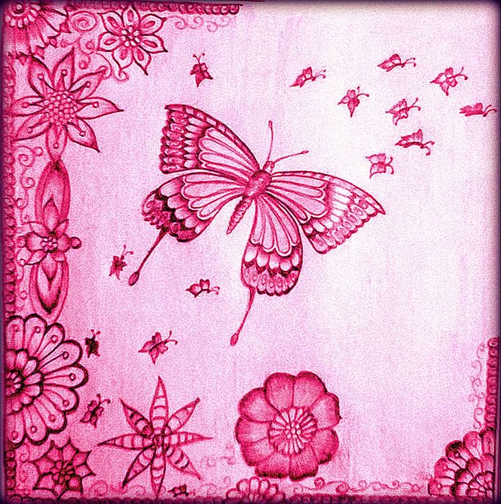 Butterflies - DT'S Gallery