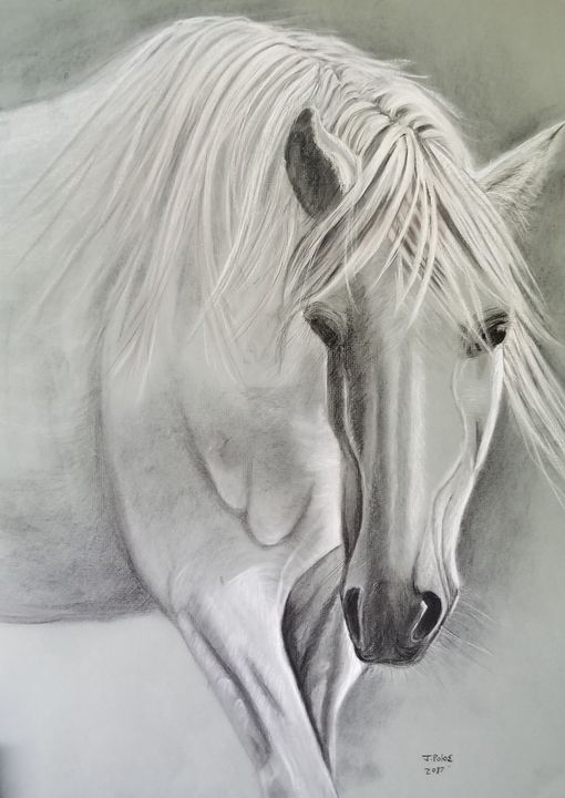 Majestic horse - JoannPolosArt