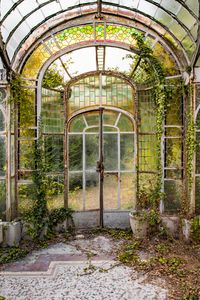 The orangery - Abandoned Places - Kenneth Provost photography
