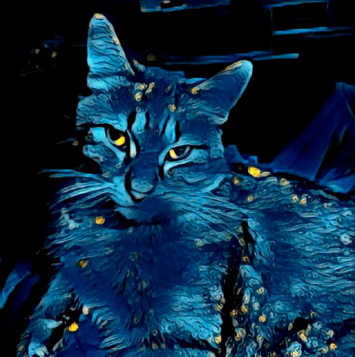 Starry Feline - Alexsean