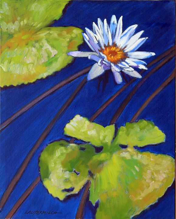 Splash of White on Lily Pond - Paintings by John Lautermilch