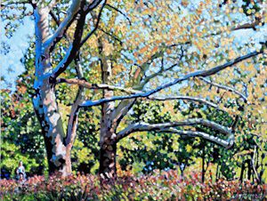 Sycamore Trees at the Zoo - Paintings by John Lautermilch