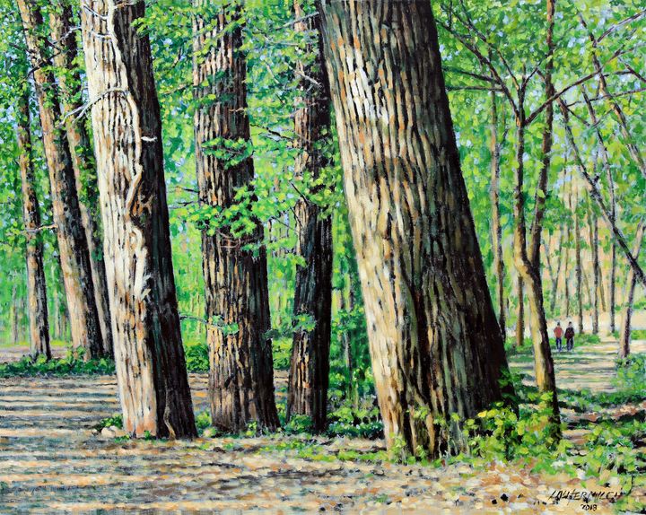 Cottonwoods at Creve Coeur Park - Paintings by John Lautermilch