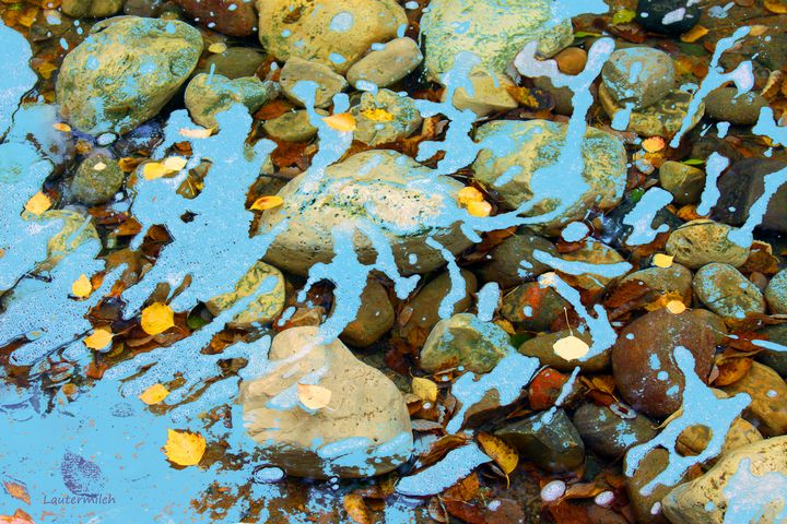 Rocks In Stream - Paintings by John Lautermilch