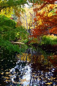 Autumn Creek - Paintings by John Lautermilch