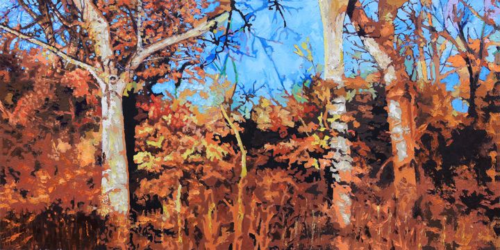 Winter Trees in Sunlight - Paintings by John Lautermilch