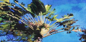 Florida's Palm Tree - Paintings by John Lautermilch
