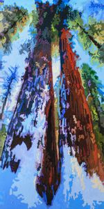 Snow On The Redwoods - Paintings by John Lautermilch