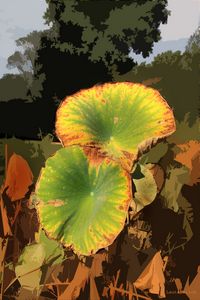 Autumn Lotus Leaves - Paintings by John Lautermilch