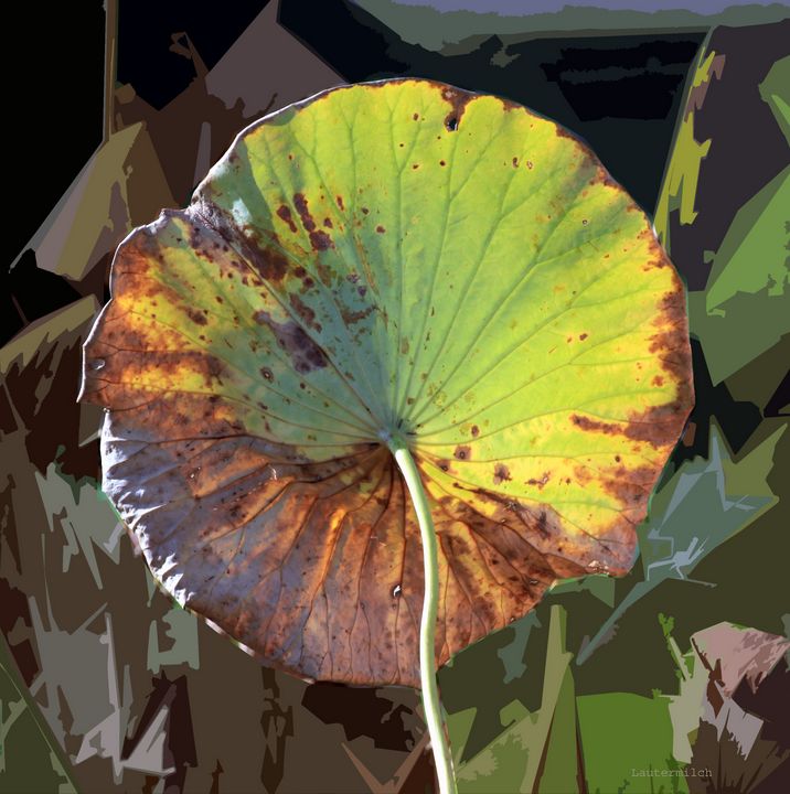 Autumn Lotus Leaf Two - Paintings by John Lautermilch