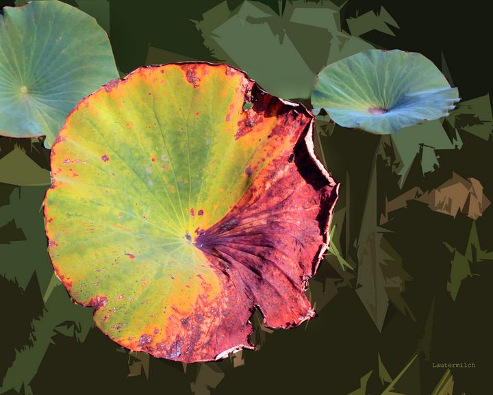 Autumn Lotus Leaf Four - Paintings by John Lautermilch