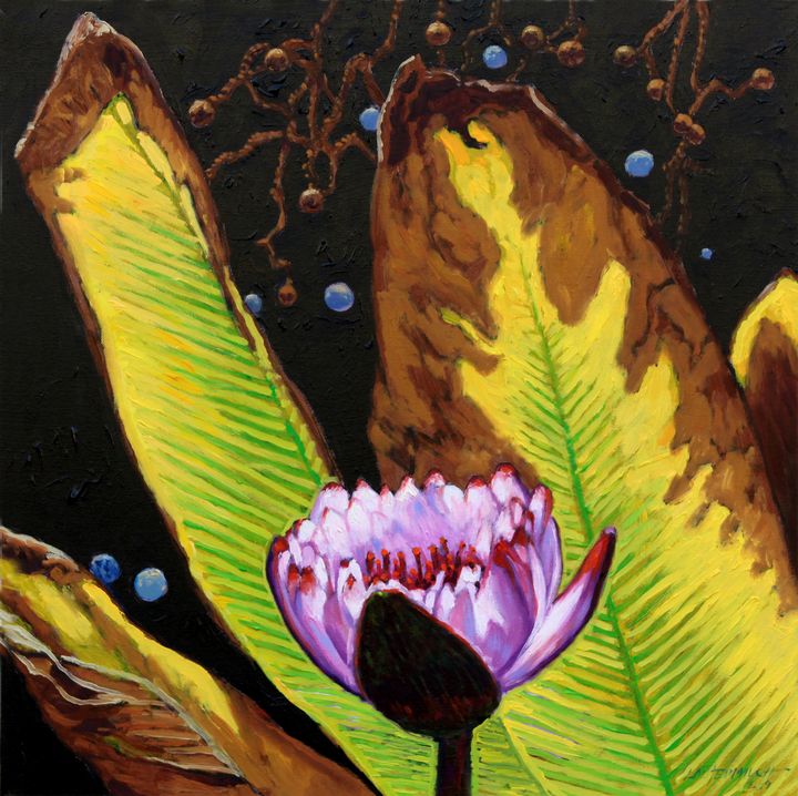 Seed's Of The Universe - Paintings by John Lautermilch