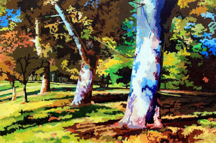 Sycamores in Forest Park - Paintings by John Lautermilch
