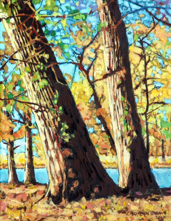 Autumn Cottonwood Trees - Paintings by John Lautermilch