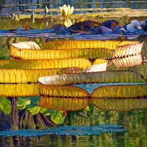 Glorious Morning Lilies - Paintings by John Lautermilch
