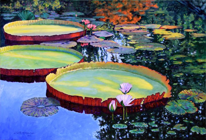 Sunspots on Lily Pond - Paintings by John Lautermilch