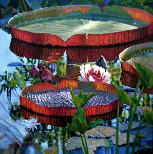 Orange Canna Lily - Carmen Beecher - Paintings & Prints