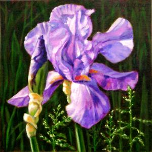 Iris in Sunlight - Paintings by John Lautermilch