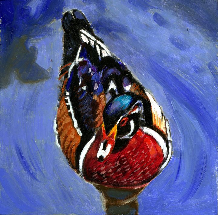 Painted Duck - Paintings by John Lautermilch