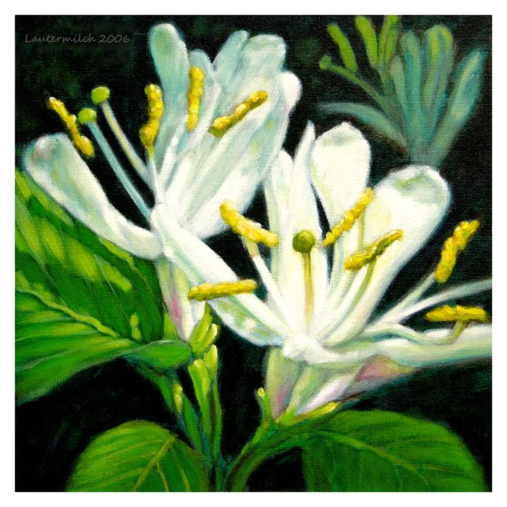 Honeysuckle blossoms - Paintings by John Lautermilch