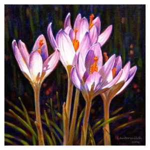 Crocus in Winter Sunlight - Paintings by John Lautermilch