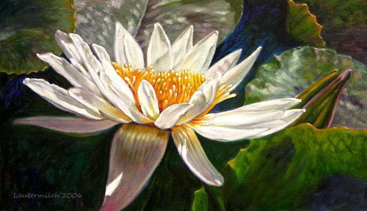 Sunlight on White Lily - Paintings by John Lautermilch