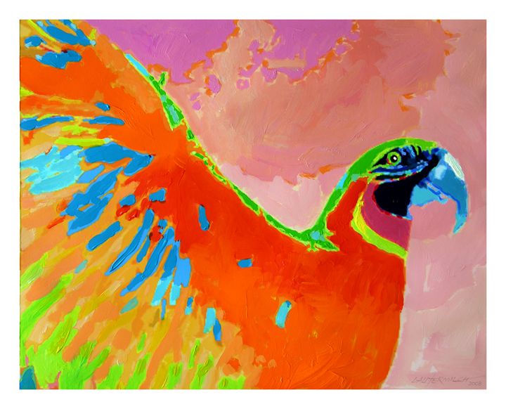 Parrot in Flight - Paintings by John Lautermilch