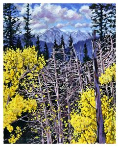 Colorado Aspens 51-2003 - Paintings by John Lautermilch