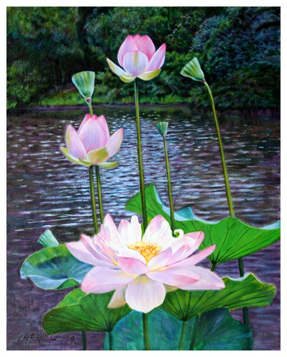 Lotus in Bloom 45-2004 - Paintings by John Lautermilch